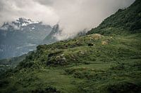 Verlaten dorp in Noorwegen | Geiranger Fjord