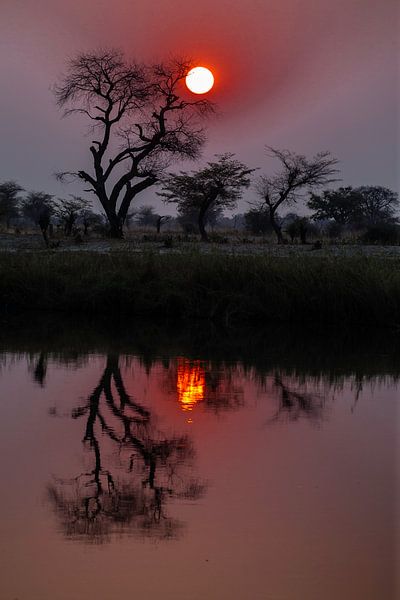 Zonsondergang over de Okavango van Henri Kok
