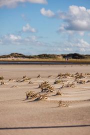 De slufter van Rolf Berends