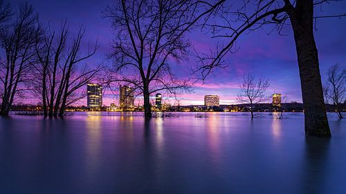 Bonn