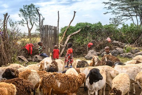 Kenia | White Mountain Movement 10