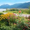beau jardin de spa avec des fleurs automnales, lakeside schliersee  sur SusaZoom