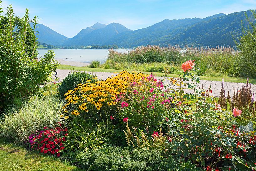 beau jardin de spa avec des fleurs automnales, lakeside schliersee  par SusaZoom