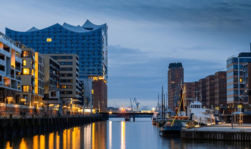 Elbphilharmonie und Traditionsschiffhafen Hamburg, Hafencity von Nils Steiner