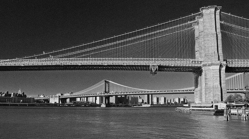 The bridges of Manhattan by Denis Feiner