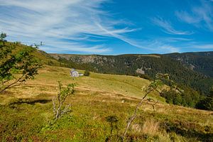 Landschaft in den Vogesen