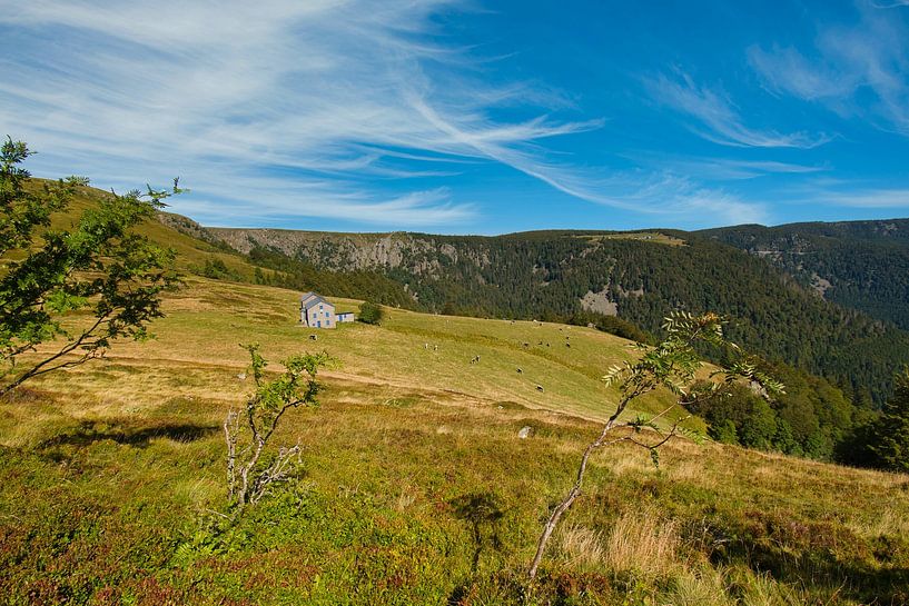Landschap in de Vogezen van Tanja Voigt