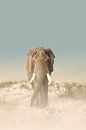 Der Weg des Elefanten von Melanie Delamare Miniaturansicht