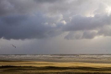 Eine Möwe fliegt über Treibsand mit dunklen Wolken am Horizont von Menno van Duijn