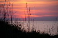 Sunset by the sea by Maurice van de Waarsenburg thumbnail