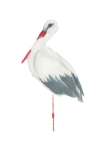Stork watercolour with insulated white background by Yvette Stevens