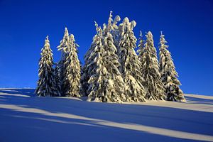 Wintertraum Feldberg