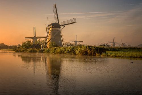 Molens Kinderdijk tijdens het ochtendgloren