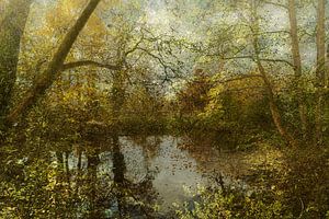 Der Waldteich