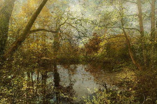 The forest pond by Koos Hageraats