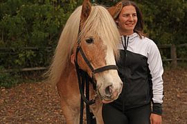 Photoshooting with light brown Haflinger with beige mane
