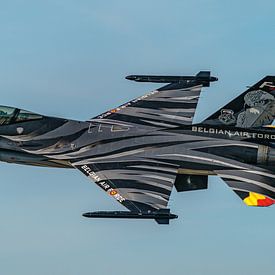 Belgische F-16 Demo Team: de Dark Falcon. van Jaap van den Berg