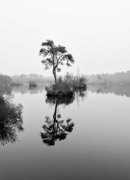 Reflectie in het stille water van Alice's Pictures