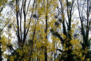 Herbstfarben