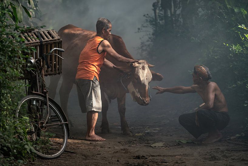 Fermier avec sa vache à lait par Anges van der Logt