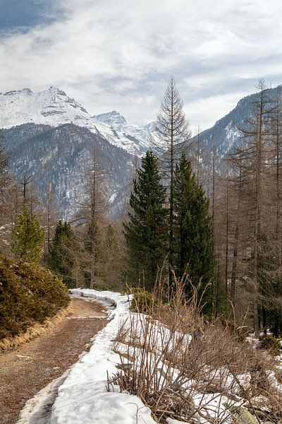 Sur le chemin de Zermatt à Z'Mutt par t.ART