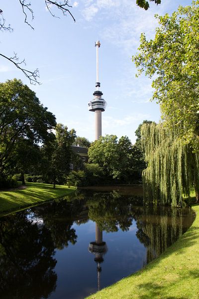 Euromast by Nancy Twickler