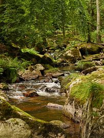 Kalte Bode River in the Harz Mountains sur Jörg Hausmann