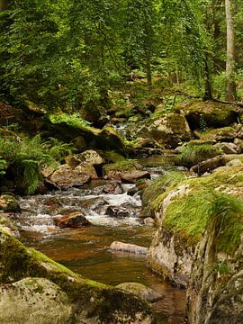 Kalte Bode River in the Harz Mountains van Jörg Hausmann