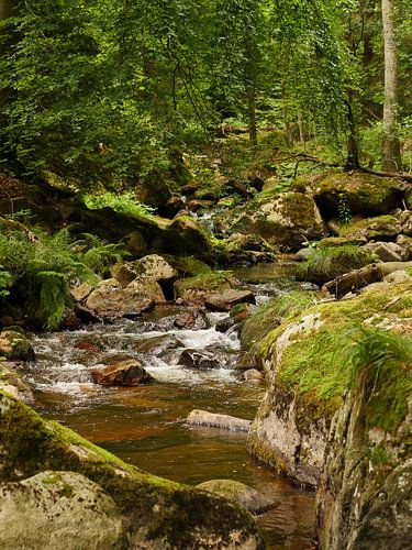 Kalte Bode im Harz