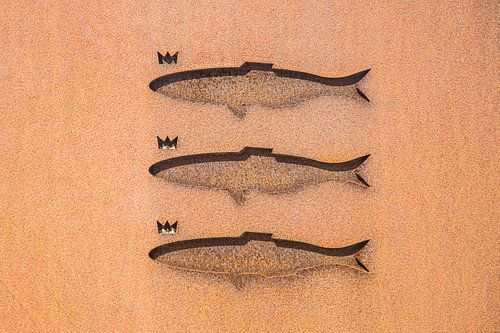 Abstract, Vissen in brons