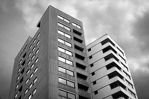 Geschwister gegen den Himmel