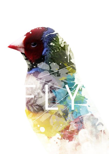 Fly by Marjorie van Zaane