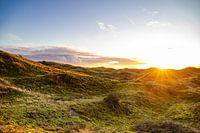 Coucher de soleil dans les dunes d'Egmond aan Zee