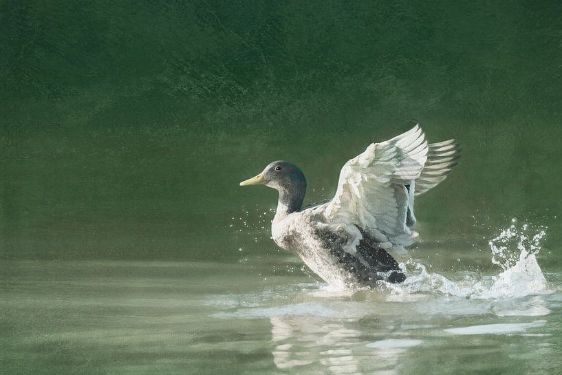 Gans nadert I Dierenplaatje met schilderkarakter van Atelier UNBUNT