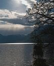 Vierwaldstädtersee van Incanto Images thumbnail