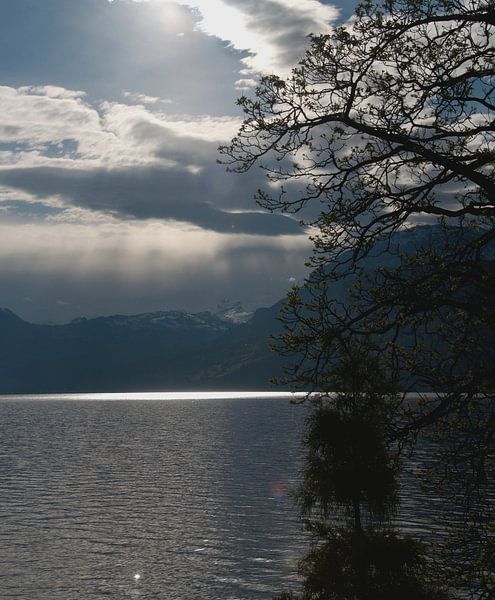 Vierwaldstädtersee van Incanto Images
