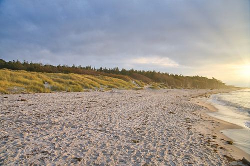 Op het zandstrand van de Oostzeekust