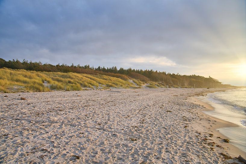 Am Sandstrand der Ostseeküste von Martin Köbsch