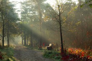 Ein kalter Herbstmorgen im November