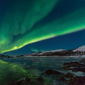 Poollicht Aurora in nachtelijke hemel over Noord-Noorwegen van Sjoerd van der Wal
