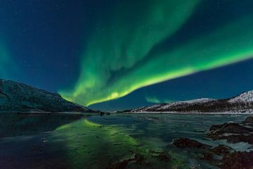 Aurora Nordpolarlicht am Nachthimmel über Nordnorwegen von Sjoerd van der Wal
