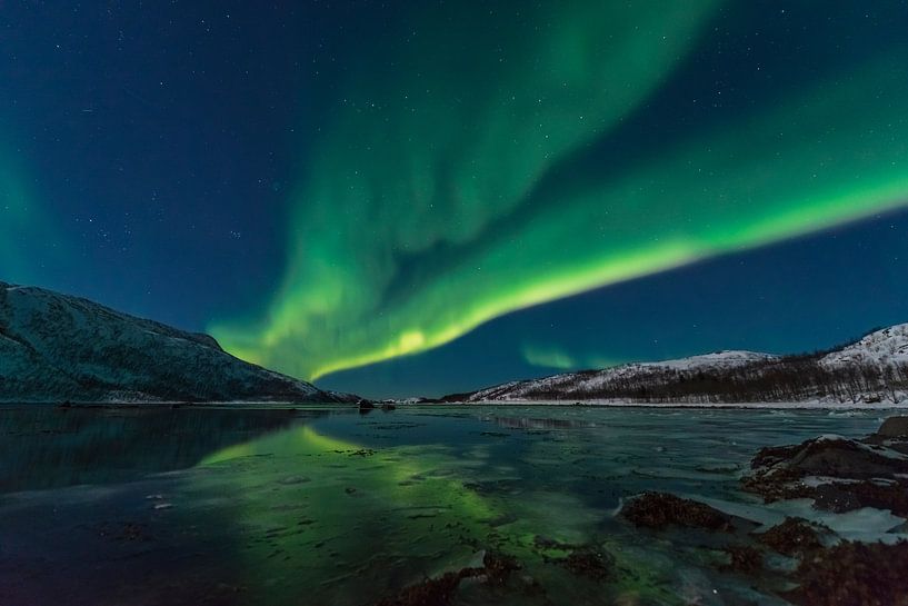 Poollicht Aurora in nachtelijke hemel over Noord-Noorwegen van Sjoerd van der Wal Fotografie