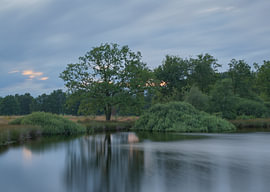 Dwingelderveld - Drenthe (Pays-Bas) sur Marcel Kerdijk