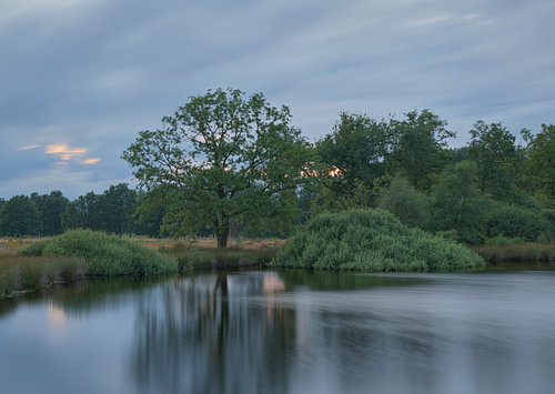 Dwingelderveld – Drenthe (Netherlands)