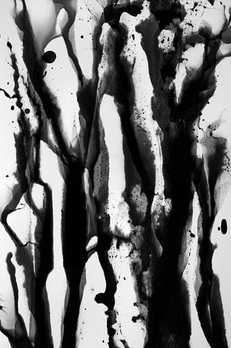 liquide