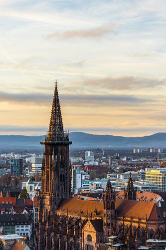 Duitsland, Ancient minster van Freiburg im Breisgau