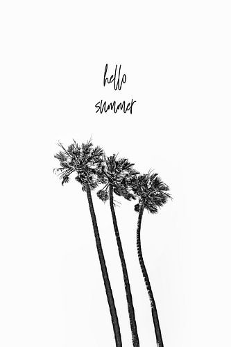 Minimalist summer idyll with palm trees
