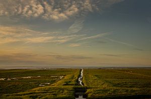 Lumière du soir sur les marais salants de Groningue
