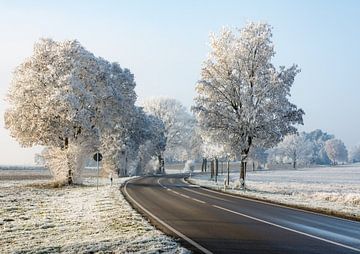 Landweg door een winterlandschap in Beieren