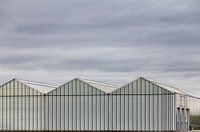 Greenhouses